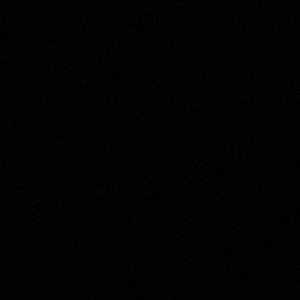 Meet your Posher, Rickie